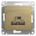 Розетка USB 2-м СП Glossa тип A+A 5В/2100мА 2х5В/1050мА механизм титан SE GSL000433
