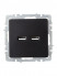 Розетка BRITE USB A+A 3.1А РЮ10-1-БрЧ механизм черн. IEK BR-U21-D31-K02