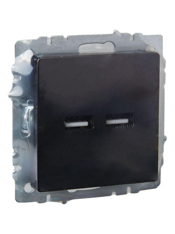 Розетка BRITE USB A+A 3.1А РЮ10-1-БрЧ механизм черн. IEK BR-U21-D31-K02