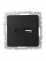 Розетка BRITE USB A+C 18Вт РЮ11-1-БрЧ механизм черн. IEK BR-U22-018-K02