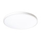 Светильник светодиодный декоративный PPB OPAL 48Вт 4000К WH d370X55 IP40 настенно-потолочный бытовой JazzWay 5060869
