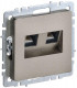 Розетка компьютерная двойн. СП RJ45 кат.5E BRITE РК10-2-БрШ механизм шампань IEK BR-K20-1-K37