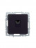 Розетка компьютерная СП RJ45 кат.5E BRITE РК10-БрЧ механизм черн. IEK BR-K10-1-K02