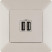 Розетка USB 2-м Valena Life 240В/5В 1500мА с лицев. панелью механизм сл. кость Leg 753512