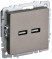 Розетка BRITE USB A+A 3.1А РЮ10-1-БрШ механизм шампань IEK BR-U21-D31-K37