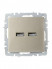 Розетка BRITE USB A+A 3.1А РЮ10-1-БрШ механизм шампань IEK BR-U21-D31-K37