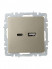 Розетка BRITE USB A+C 18Вт РЮ11-1-БрШ механизм шампань IEK BR-U22-018-K37