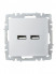 Розетка BRITE USB A+A 3.1А РЮ10-1-БрА механизм алюм. IEK BR-U21-D31-K47