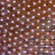 Гирлянда светодиодная "Сеть" 2х4м 560LED бел. 50Вт 220-240В IP67 провод каучук черн. Neon-Night 217-135